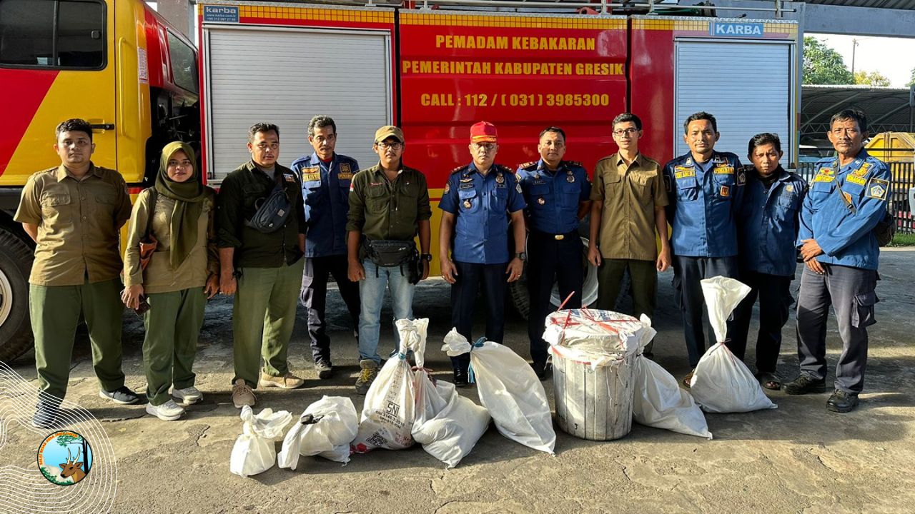 Belasan Ular Dievakuasi Dari Damkar Gresik