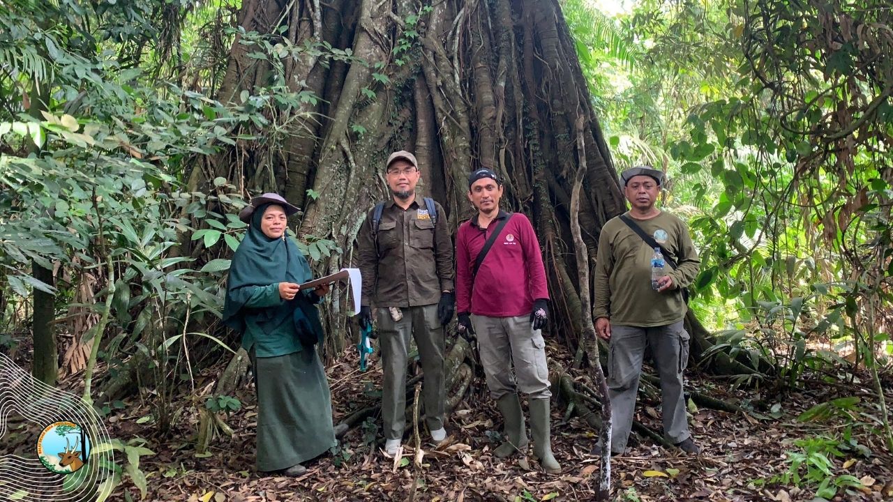 Inventarisasi Ficus di Cagar Alam Manggis dan Besowo