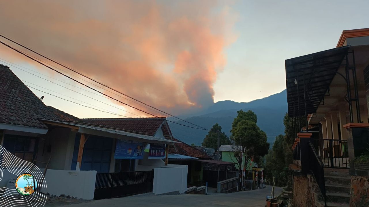 Argopuro Terbakar, Pendakian Ditutup
