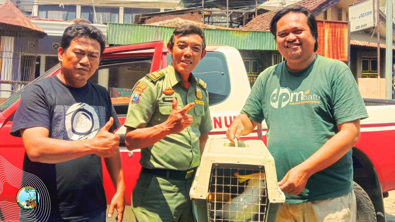 Jangan Takut Serahkan Satwa Dilindungi Ke BBKSDA Jawa Timur