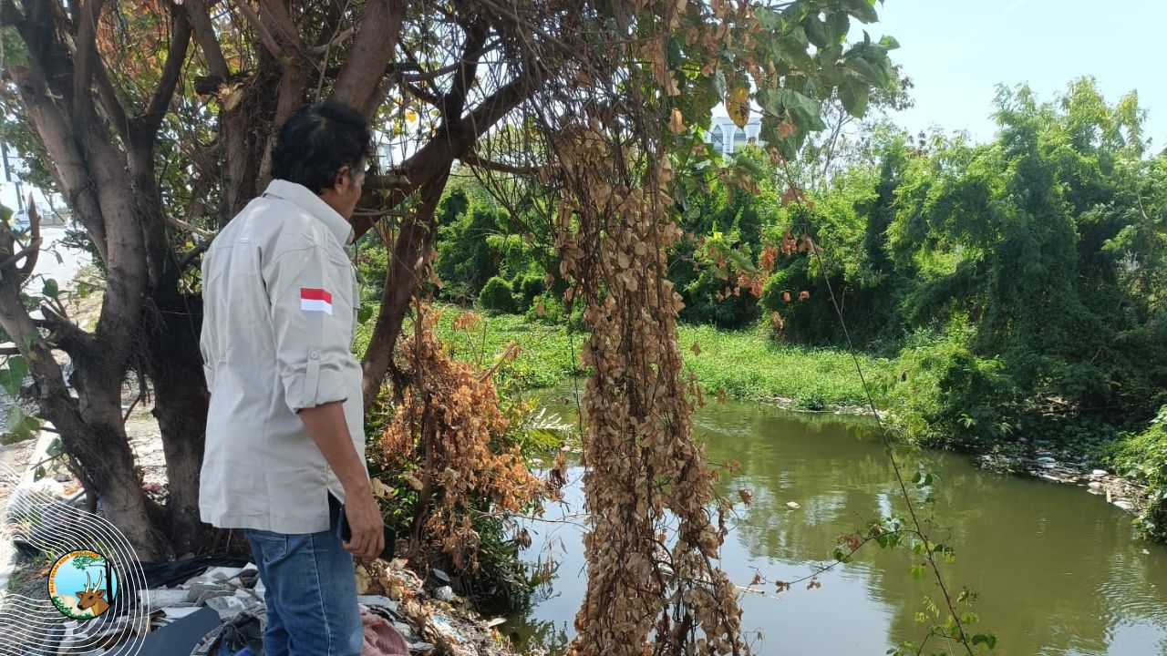 Diduga Buaya Muara, Muncul di 2 Sungai