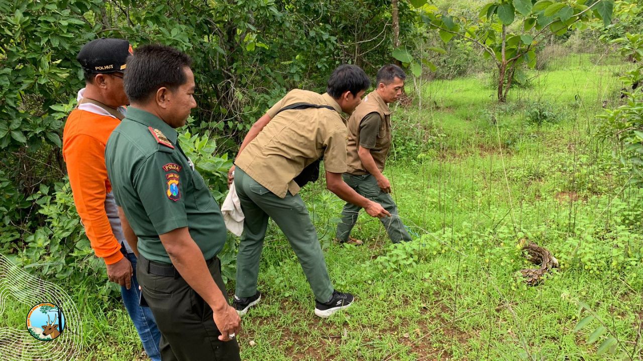Mengawali Tahun, Melepasliarkan Satwa