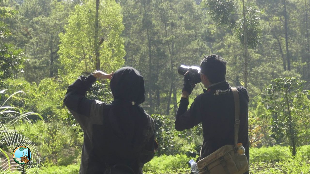 Eksplorasi Kupu-kupu di Bawean