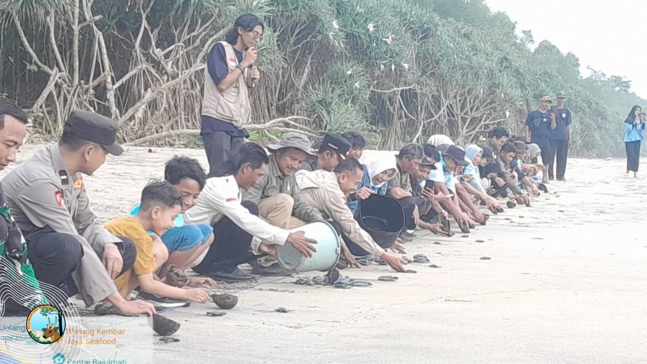 Pelepasliaran Tukik, Sebuah Langkah Kecil untuk Masa Depan Samudera