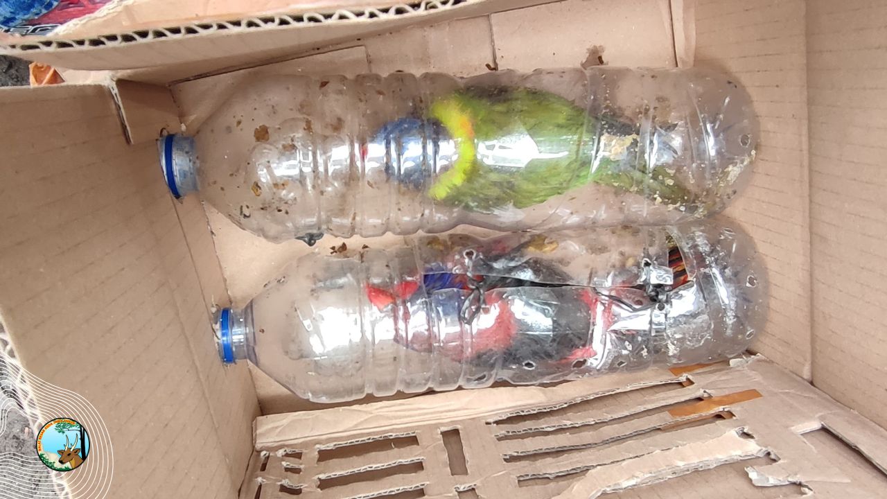 Tumbuhan dan Satwa Tak Bertuan di KM. Sinabung Diamankan Tim Matawali – BBKSDA Jatim