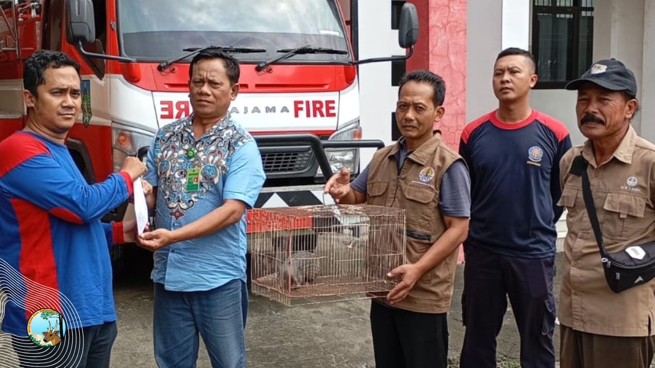 Penyerahan Mamalia Bersisik Secara Sukarela Ke SKW I Kediri