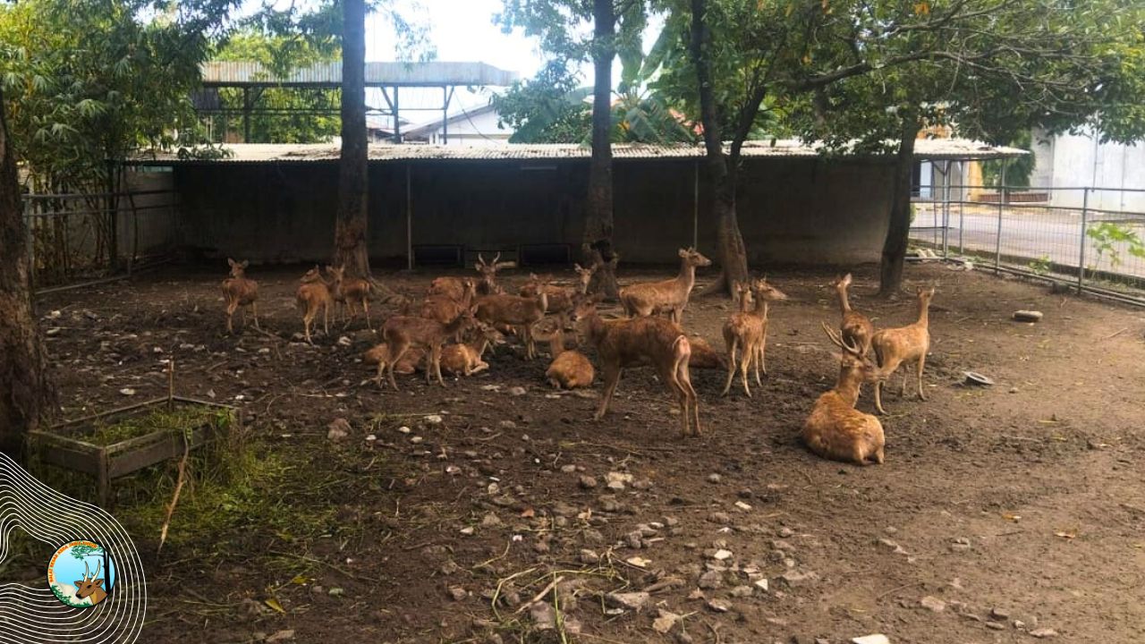 Upaya Pemantauan dan Perbaikan Tata Kelola Penangkaran