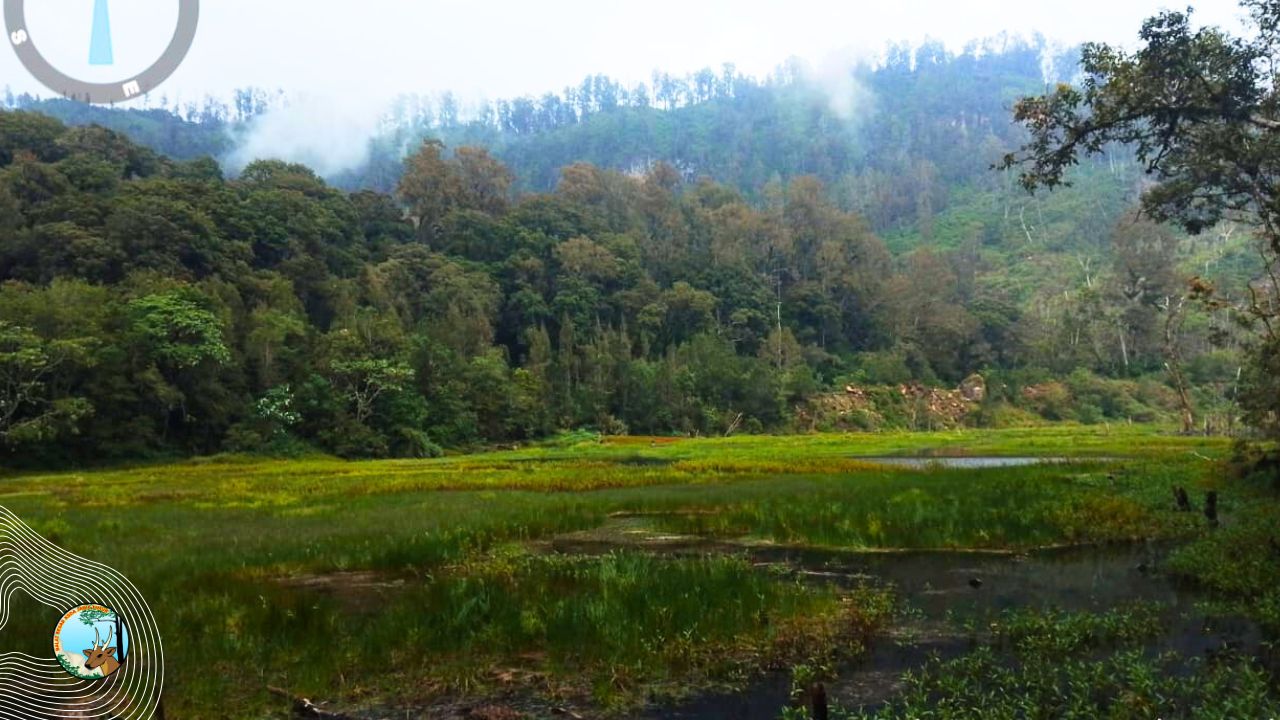 Kolaborasi Mitigasi Bencana Suaka Margasatwa Dataran Tinggi Yang
