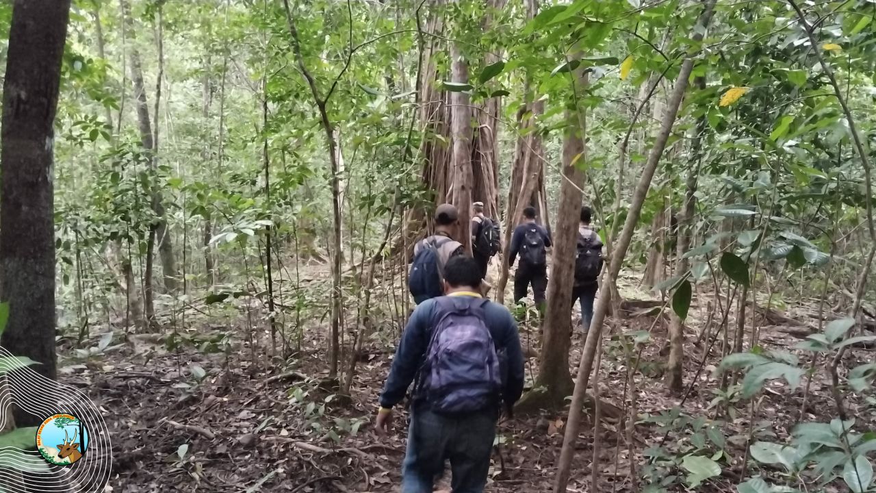 Simfoni Hijau Pangambean: Menjelajahi Keajaiban Tumbuhan di Cagar Alam Pulau Bawean
