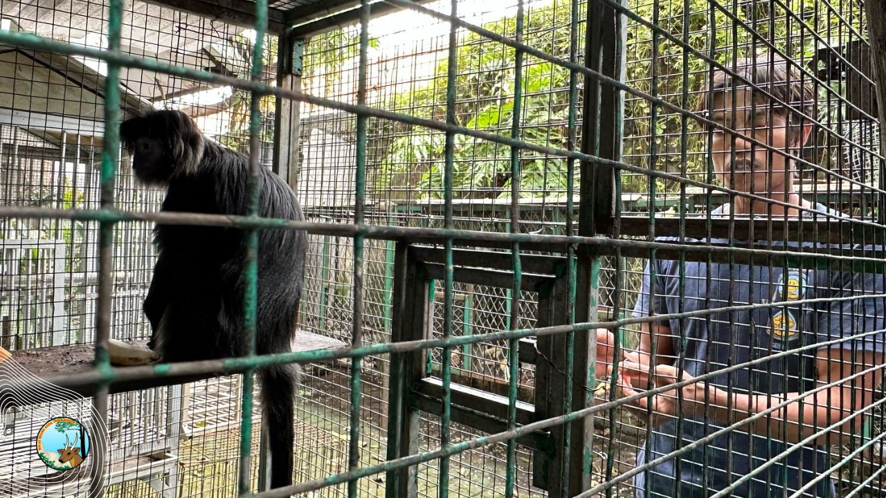 SKW I Kediri Serahkan Satwa Ke WRU