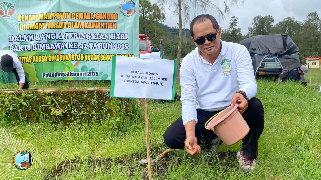 Bakti Rimbawan, Hijaukan Ijen dan Baung