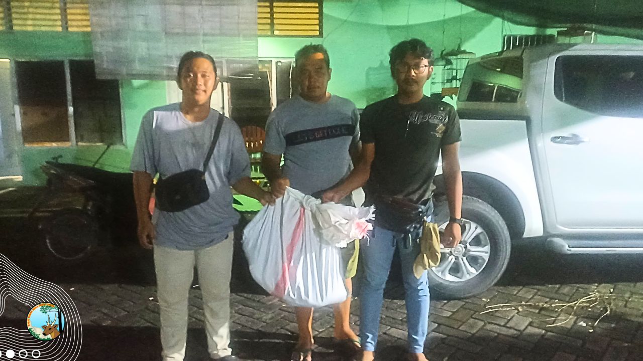 Jejak Satwa Liar di Bekas Rawa Kota Surabaya