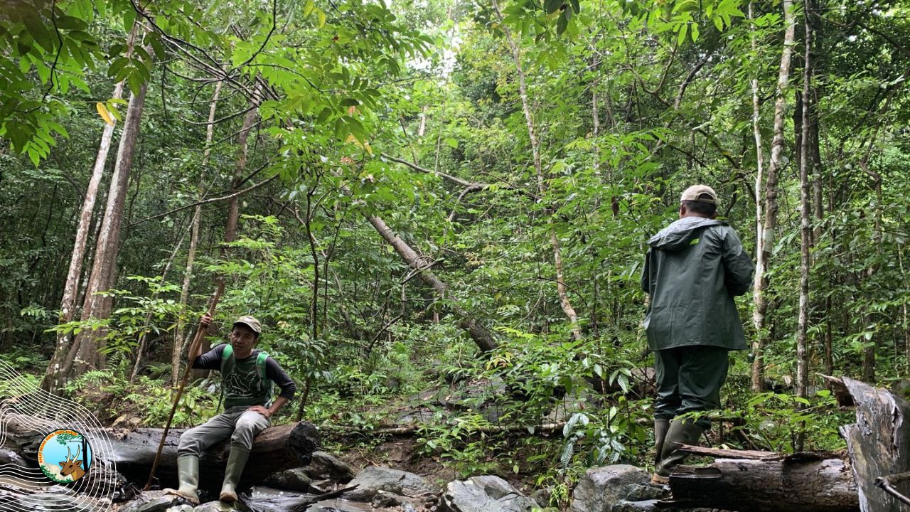 Patroli Rimba Bawean: Jejak Satwa Langka di Pameghetan