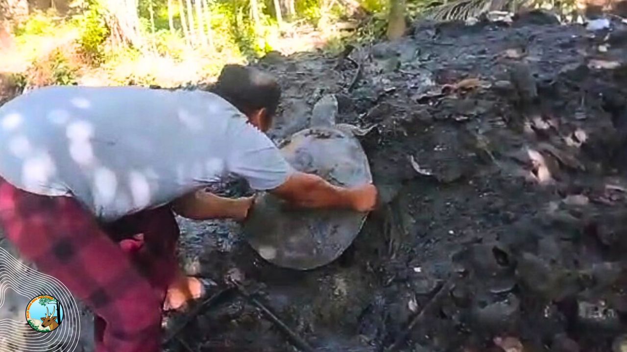 Jejak Hidup Yang Nyaris Terlupakan Di Sungai Bawean