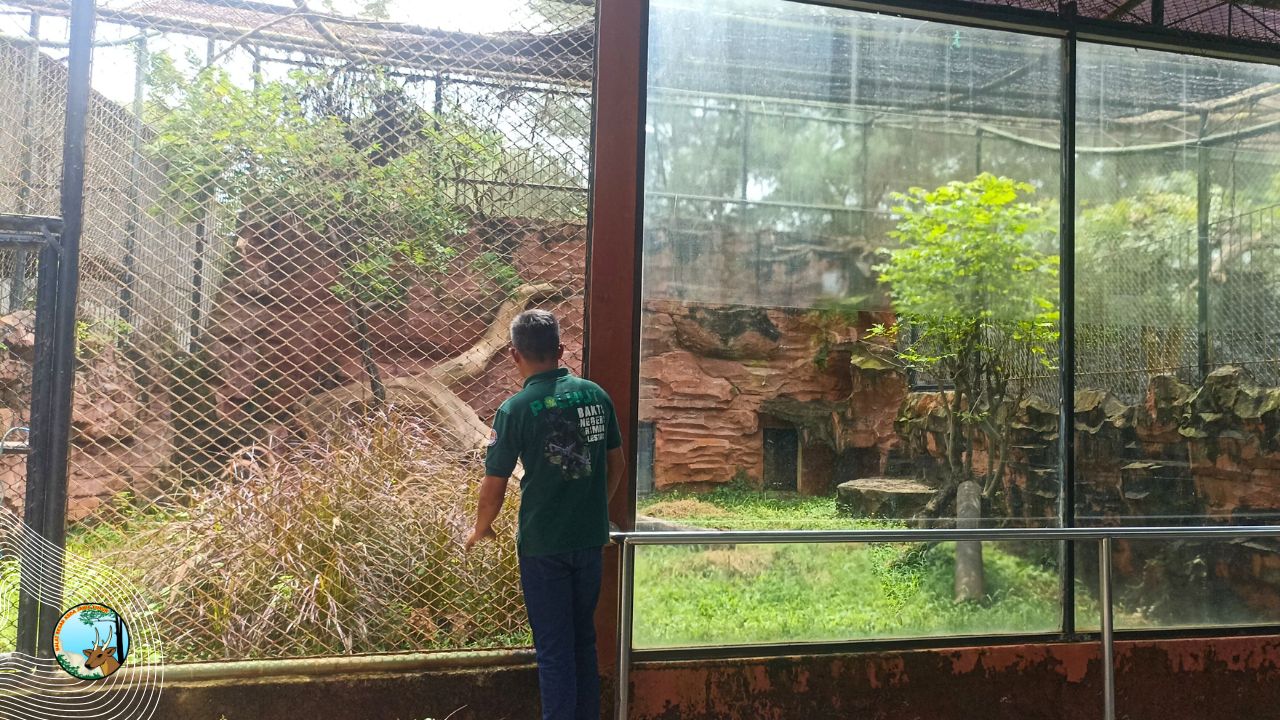 Di Garis Depan Konservasi, Menjaga Rumah Baru Bagi Satwa Liar