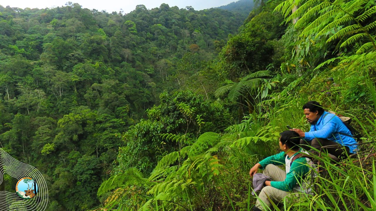 Hutan, Lumbung Kehidupan yang Terancam