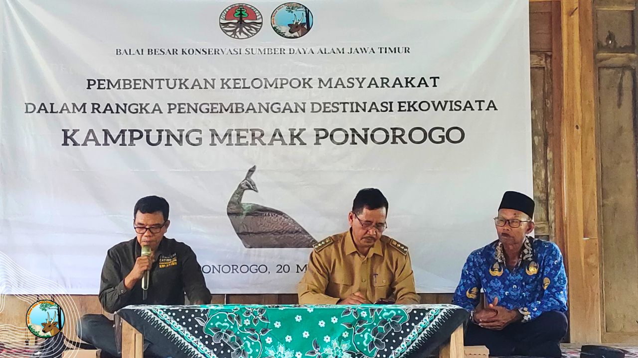 Upaya KTH Gentan Hijau Berseri Melestarikan Merak Hijau dan Budaya Reyog Ponorogo
