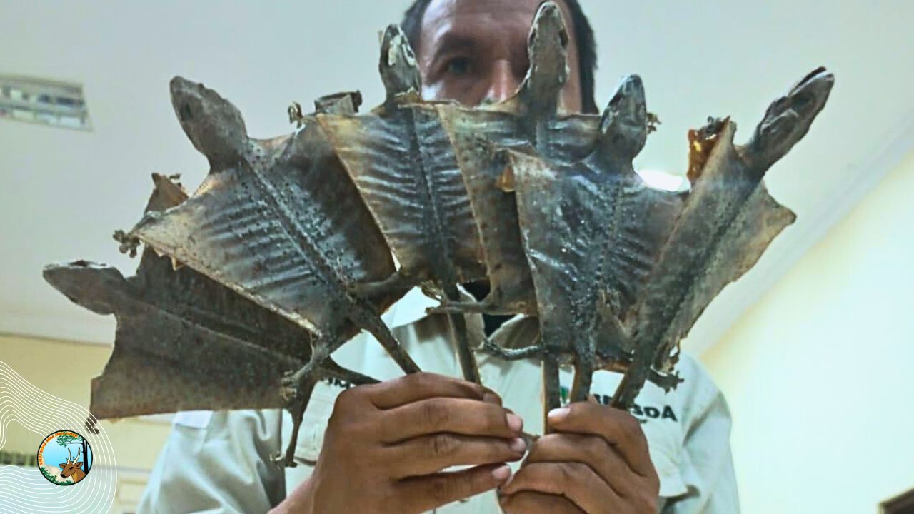 Menjaga Keseimbangan Alam, BBKSDA Jatim Awasi Pengambilan dan Penangkapan Satwa Liar Sesuai Regulasi