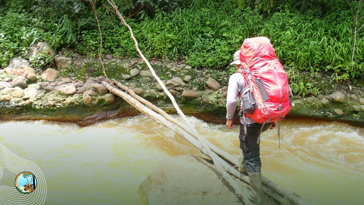 Misteri Alam Liar Raung-Ijen, Kamera Trap Ungkap Jejak Satwa Langka