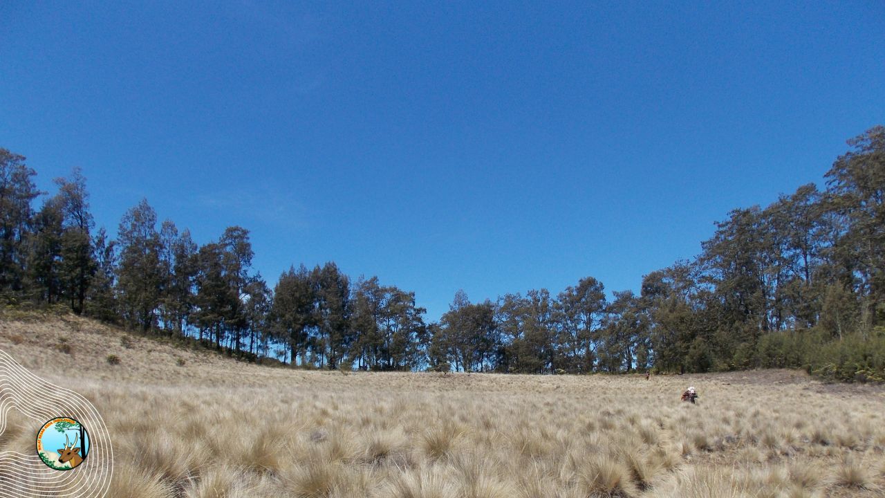 Harmoni Alam dalam Langkah Kehati-hatian, Suaka Margasatwa Dataran Tinggi Yang kembali membuka diri