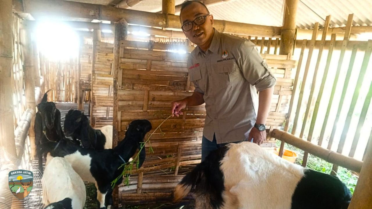Rahmat Abidin, Menyulam Harapan dari Kambing dan Konservasi Nusa Barong
