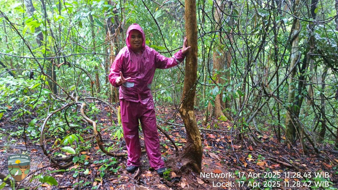 Jejak Sunyi, Patroli Keanekaragaman Hayati di Gunung Mas Bawean