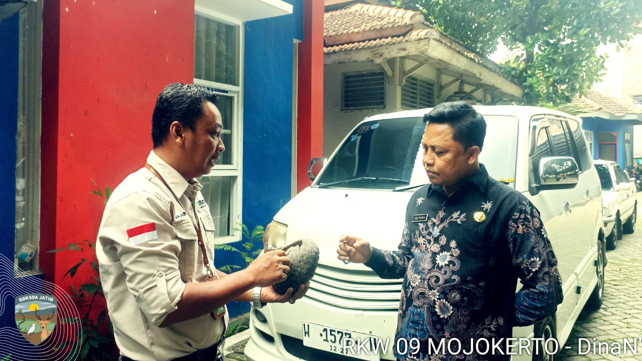 Kisah Pengendali Ekosistem Hutan dan Upaya Sunyi Konservasi Satwa di Gresik