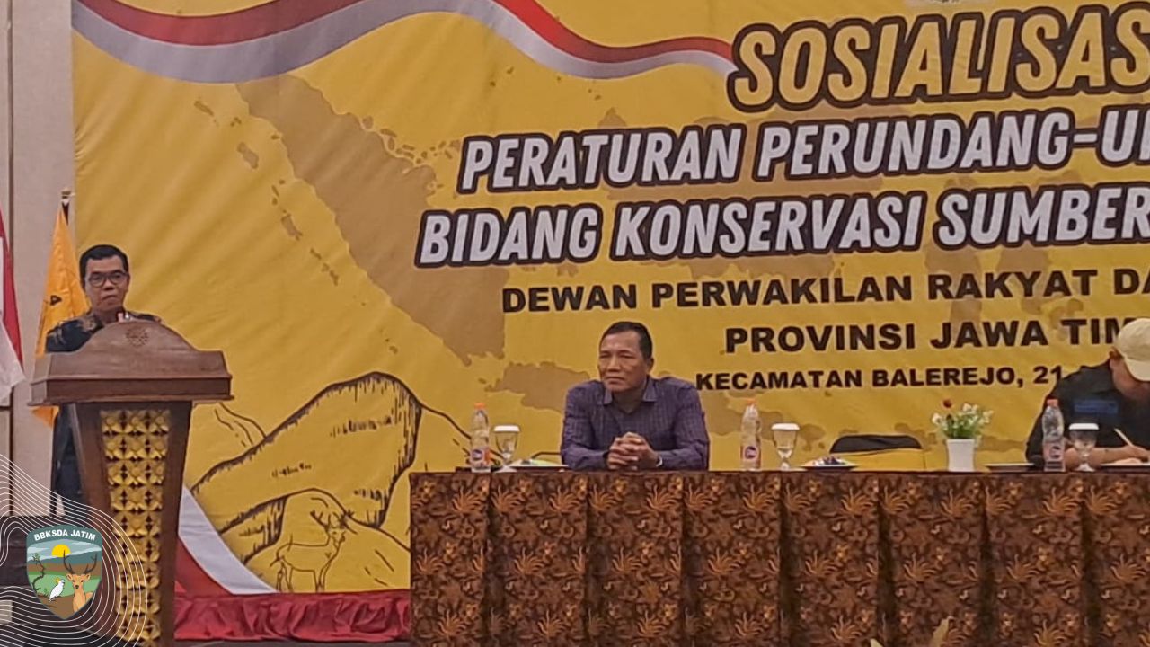 Menjaga Satwa dari Balerejo