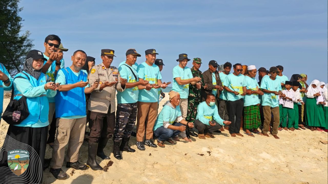 200 Tukik Menuju Laut, Harapan Baru dari Gili Noko