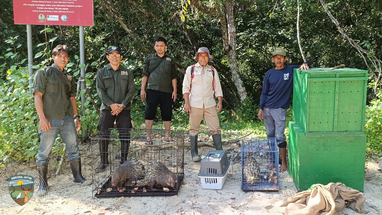 Membumikan Konservasi, BBKSDA Jatim Lepasliarkan Sepuluh Satwa Dilindungi di Cagar Alam Pulau Sempu
