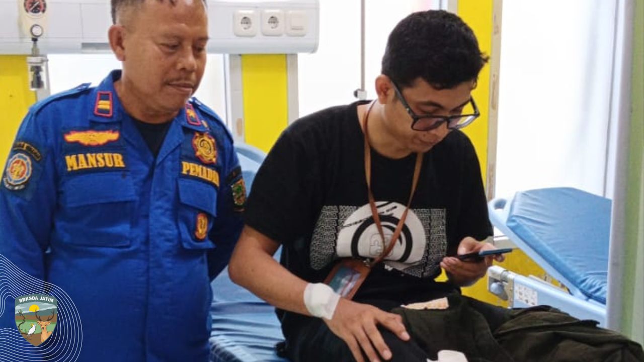 Lukai Petugas, Monyet Ekor Panjang Berhasil Dievakuasi