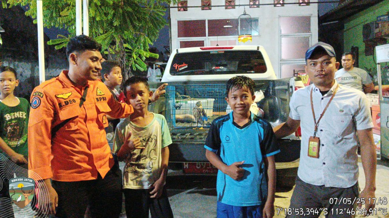 Lahirnya Penjaga Kecil untuk Pengembara Angkasa