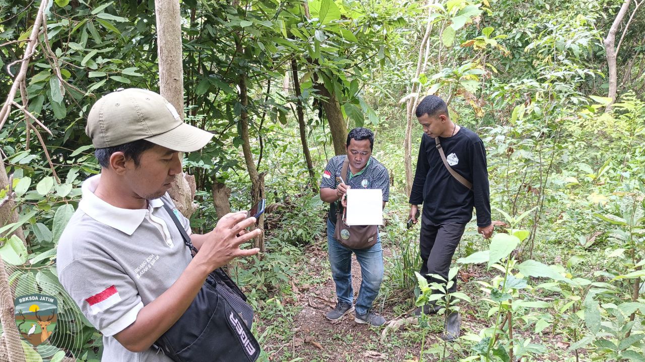 Mereka Menjaga Bawean