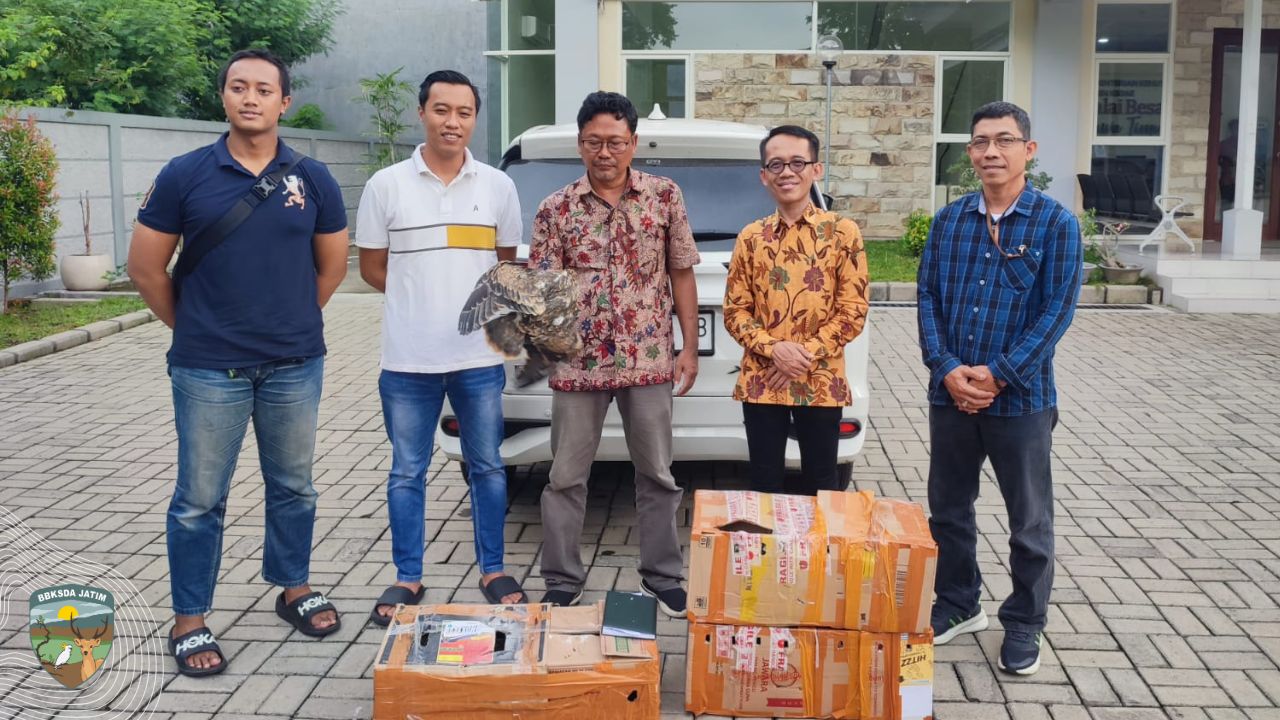 19 Elang Paria Diselamatkan dari Perdagangan Ilegal