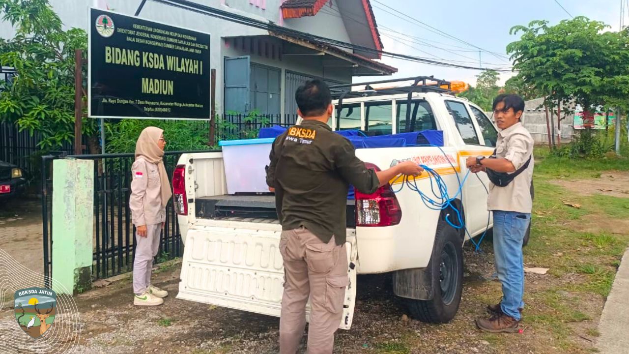 Misi Penyelamatan Satwa dari Ancaman Kepunahan di Madiun