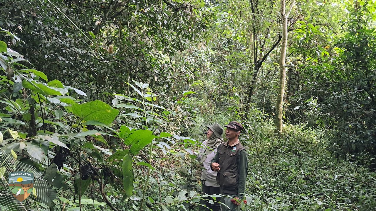 Menelusuri Alas Simpenan di Kediri