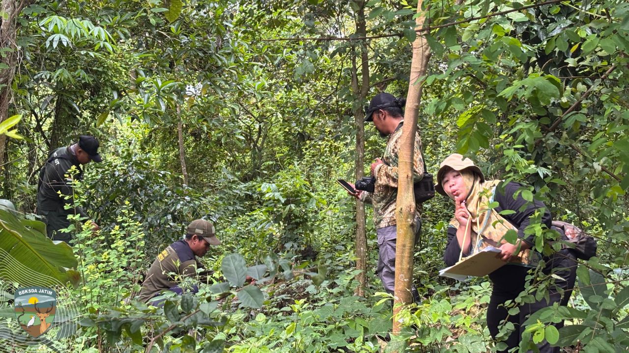 Menjaga Nadi Ekosistem Karst Cagar Alam Goa Nglirip