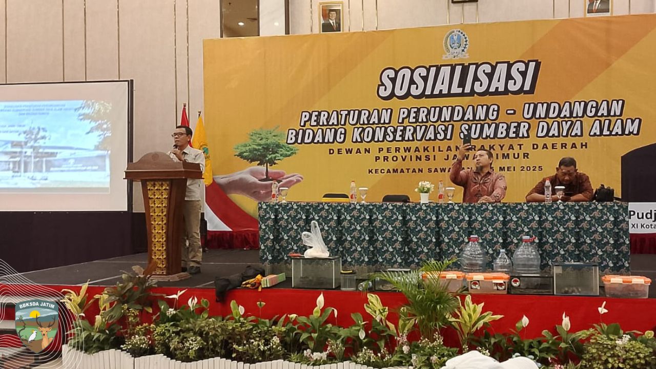 Tak terbatas Dimensi Ruang, Gemakan pentingnya konservasi satwa liar