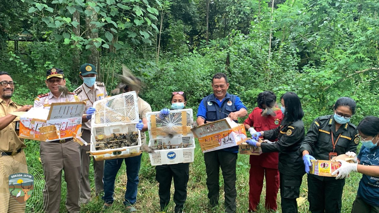 Lagi, Penyelundupan Satwa Liar dari Bali Digagalkan di Banyuwangi