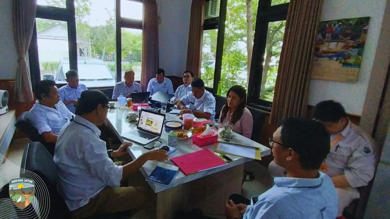 Wira dan Rengganis, Merangkai Masa Depan Harimau Sumatera