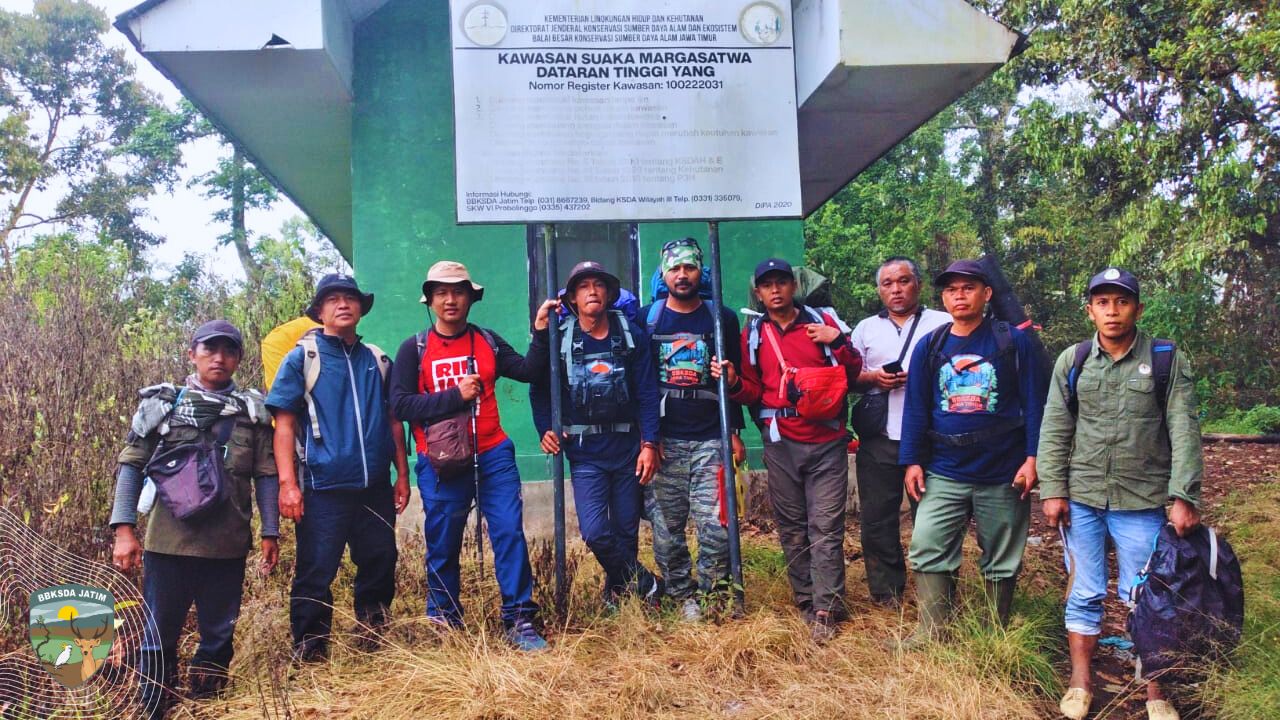 Rimba Argopuro, Penjaga Jejak Macan, Merak, dan Situs Leluhur