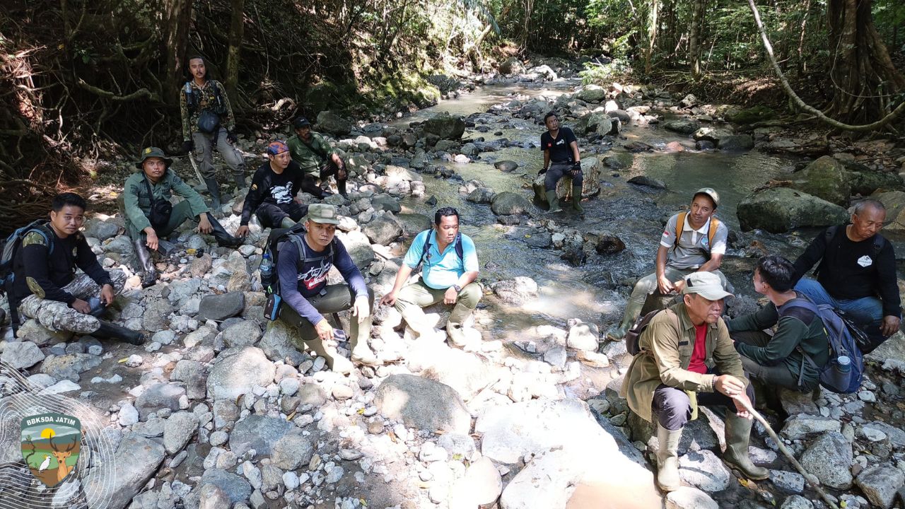 Jejak di Rimba Bawean: Warga Berjaga, Hutan Masih Terancam