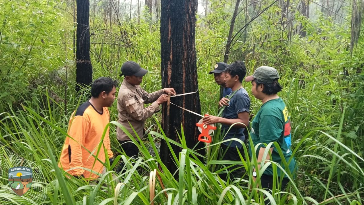 Patroli Cagar Alam Ijen yang Menantang Alam dan Waktu