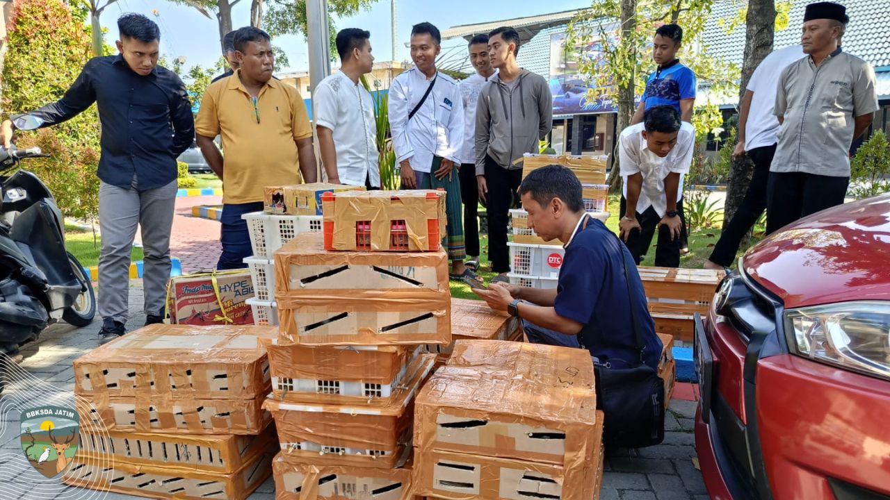 Ratusan Burung diselundupkan dari Kalimantan, di gagalkan di Tanjung Perak Suruabaya