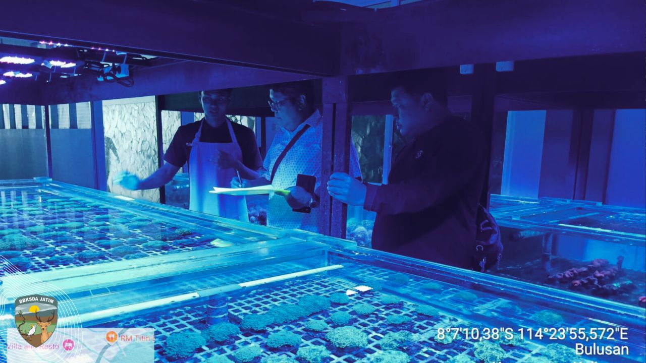 Audit Ribuan Karang Hias Demi Masa Depan Laut yang Berkelanjutan