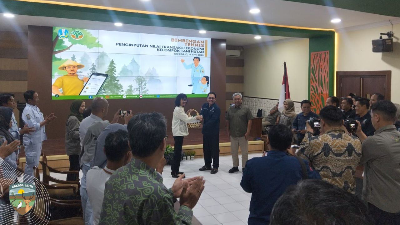 Menjaga Nadi Ekonomi Hutan, Ketika Angka Transaksi Menjadi Cermin Konservasi