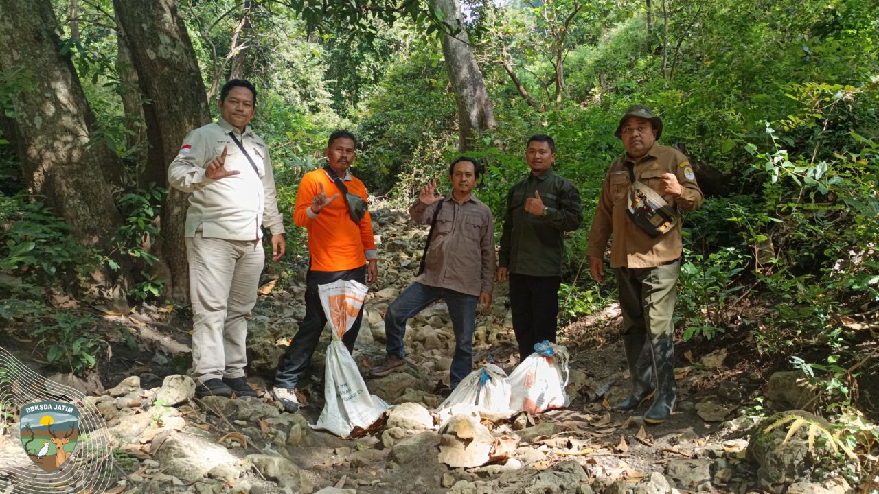 Tiga Sanca Bodo Diselamatkan dan Dikembalikan ke Hutan Ponorogo
