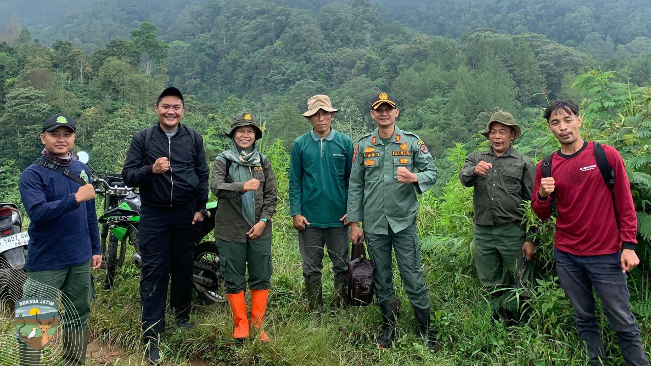 Menembus Alas Ireng, Harapan itu bernama Sigogor