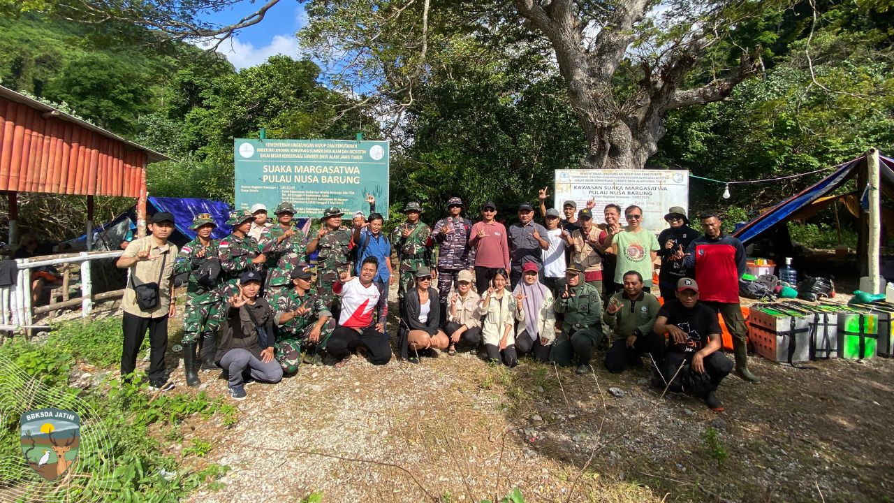 Harapan Terlahir, 42 Monyet Ekor Panjang Kembali ke Alam Liar di Nusa Barung