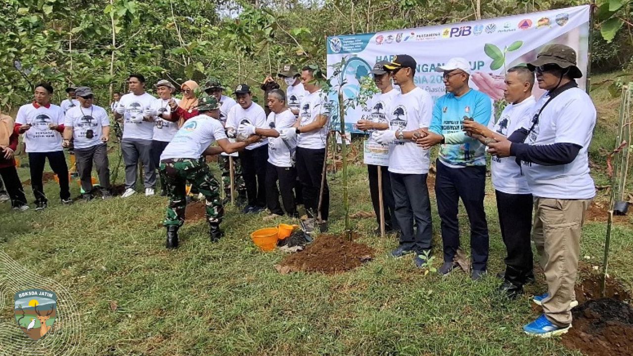 Berubulan, Dari Sumber Kehidupan Menuju Sumber Kesadaran